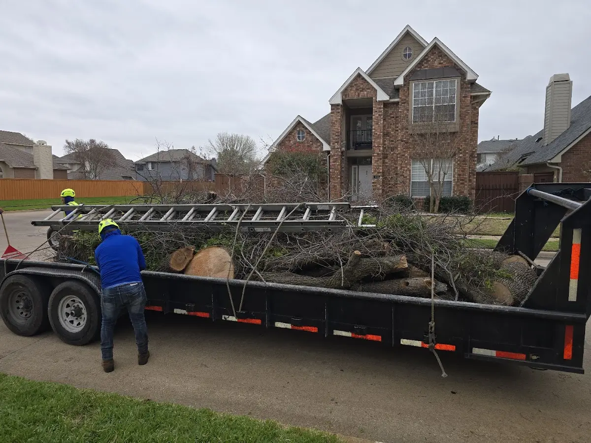 Expert Tree Pest Control with proper safety equipment in Leawood